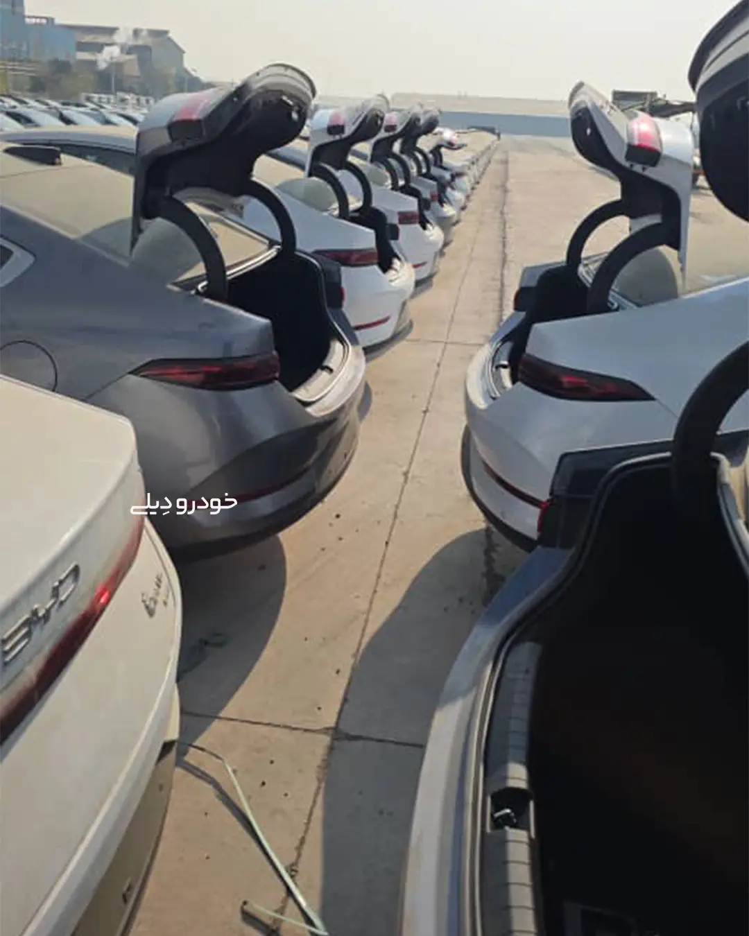 ورود نخستین محموله خودرو های BYD شرکت نبکا به گمرک تهران | BYD Import Cars in Iran | Nebka