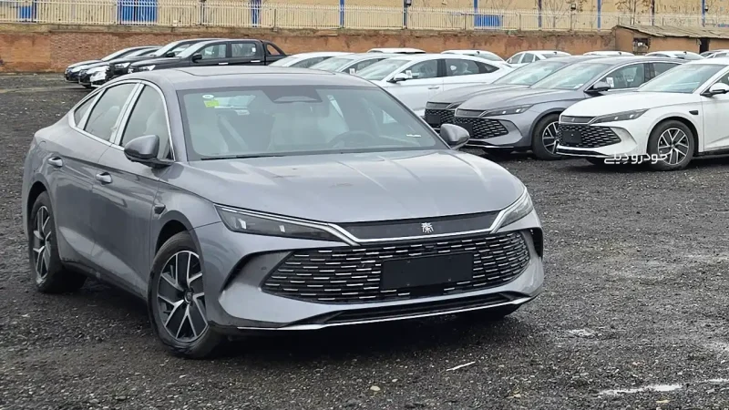 تحویل BYD سیگال، دلفین، چین پلاس و چین L وارداتی فروش بهمن ماه نبکا به مشتریان