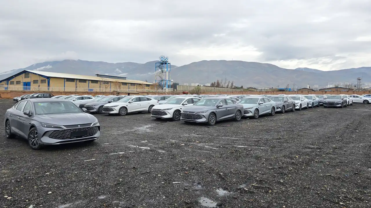 تحویل BYD سیگال، دلفین، چین پلاس و چین L وارداتی فروش بهمن ماه نبکا به مشتریان